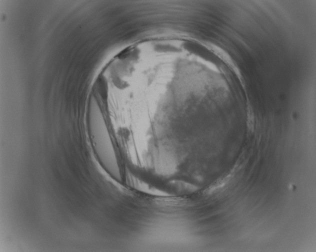 X0000067370863200604281749