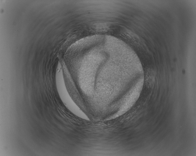 X0000067370866200604281748