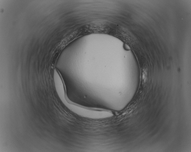 X0000067370867200604281748