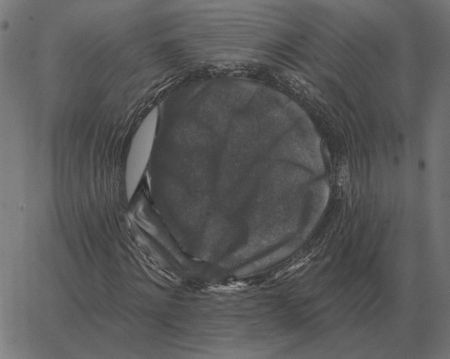 X0000067370868200604281748