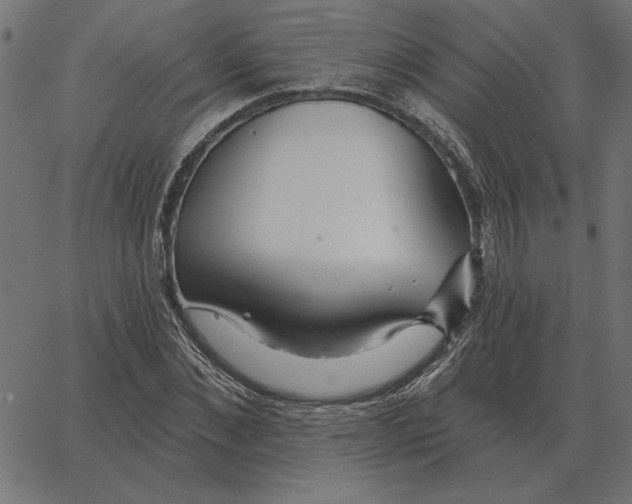 X0000067370876200604281748