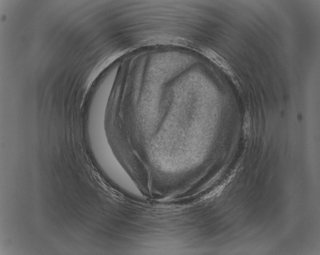 X0000067370877200604281748