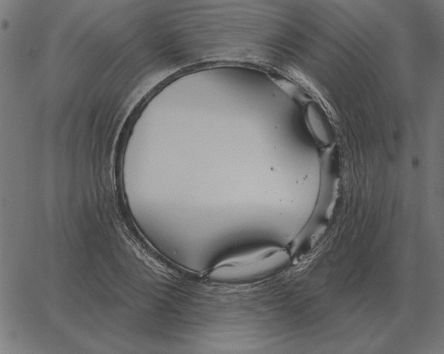 X0000067370884200604281748