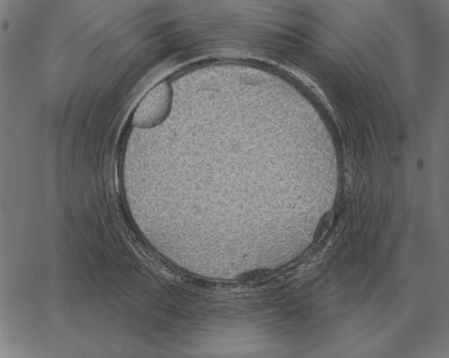 X0000067370887200604281748