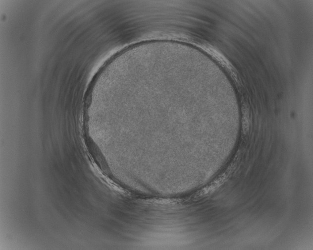 X0000067370896200604281747