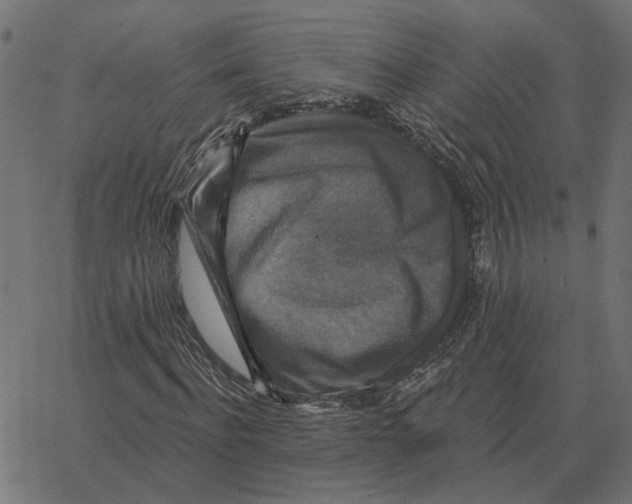 X0000067370916200604281746
