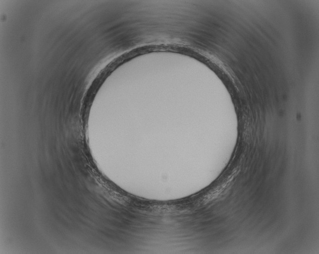 X0000067370927200604281747