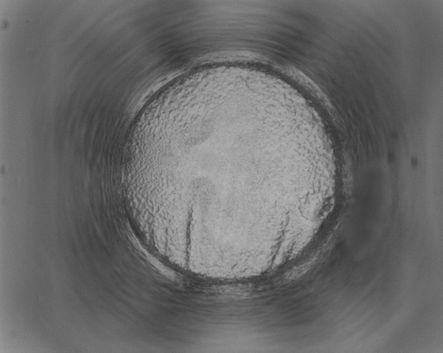 X0000067370937200604281747