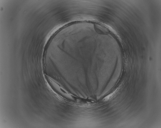 X0000067370943200604281747