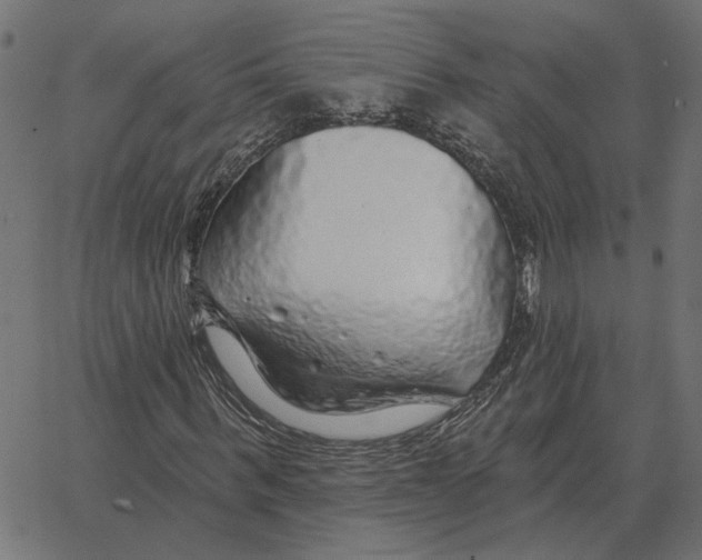 X0000067370963200604281746