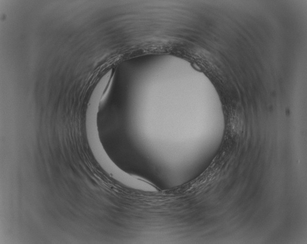 X0000067370964200604281746