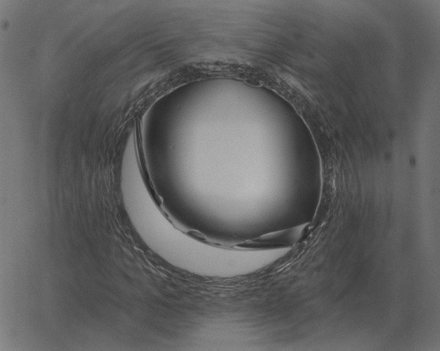 X0000067370965200604281746
