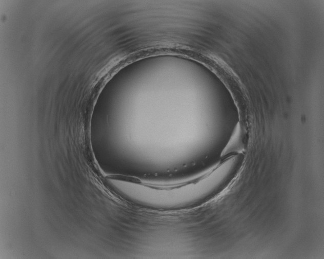 X0000067370969200604281746