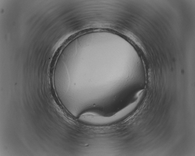 X0000067370972200604281746