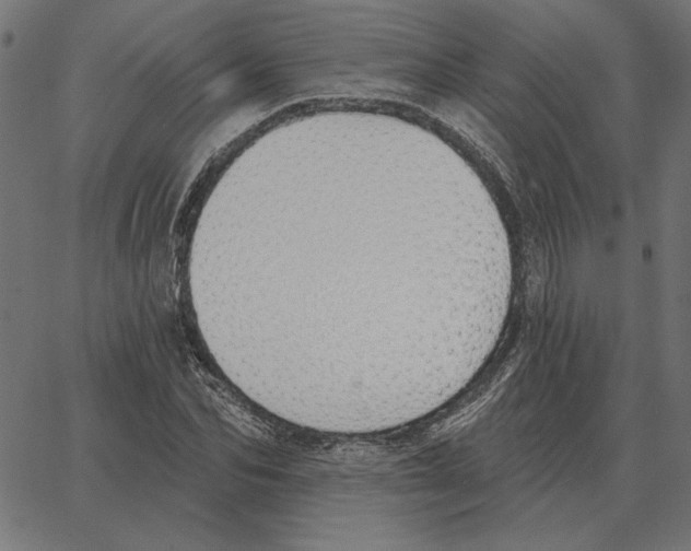 X0000067370974200604281746