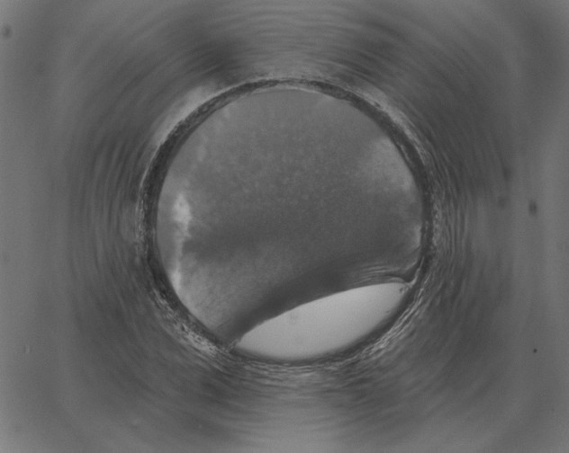X0000067370975200604281746