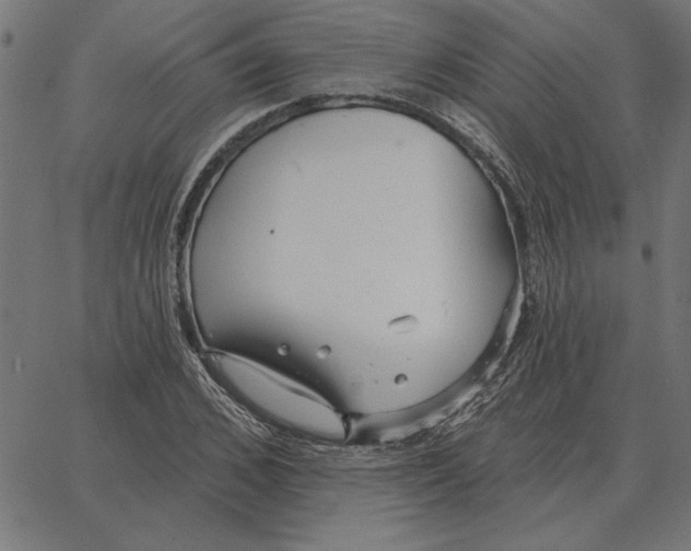 X0000067370976200604281746
