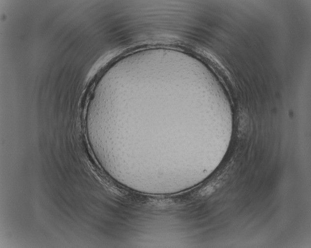 X0000067370978200604281746