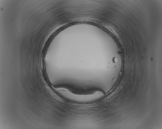 X0000067370984200604281746