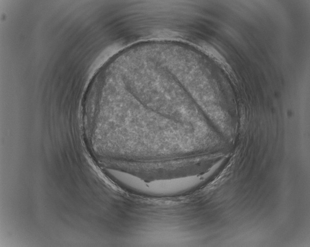 X0000067370990200604281746
