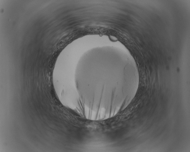 X0000067371013200604281745