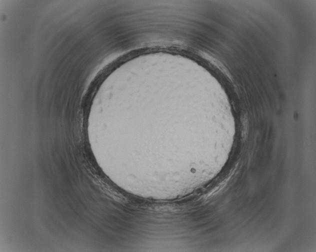 X0000067371021200604281745
