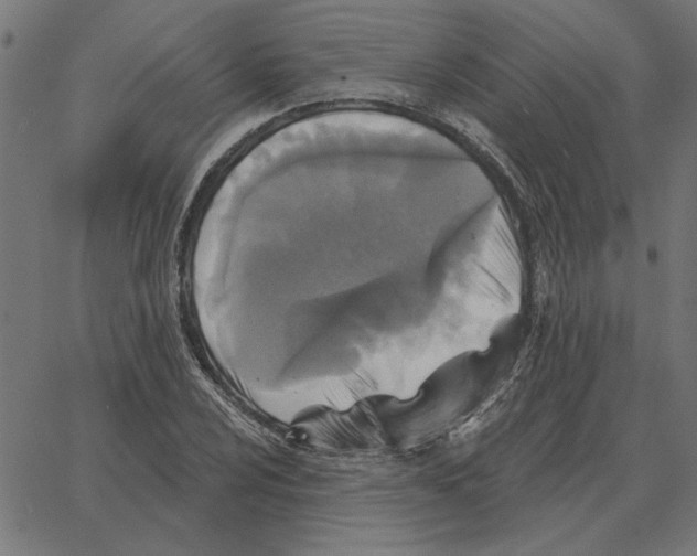 X0000067371024200604281745