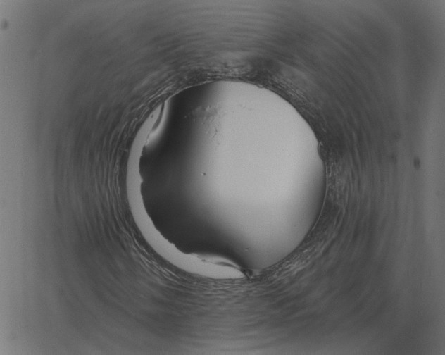 X0000067371058200604281745