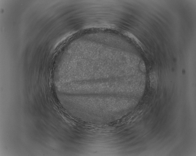 X0000067371064200604281745