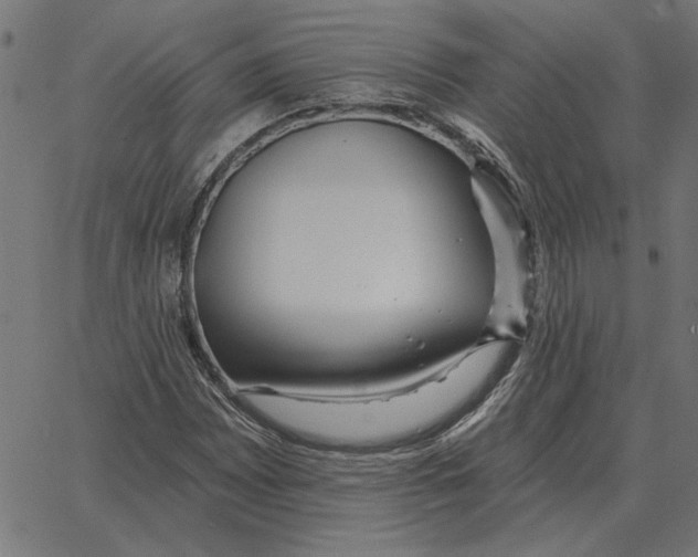 X0000067371065200604281745