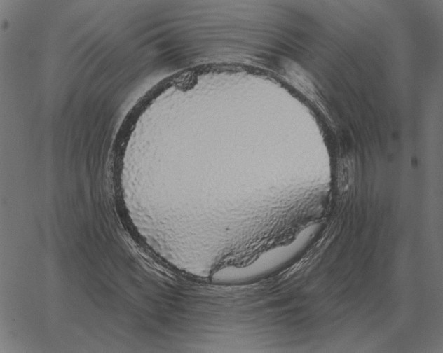 X0000067371068200604281745