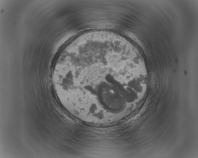 X0000067371071200604281744