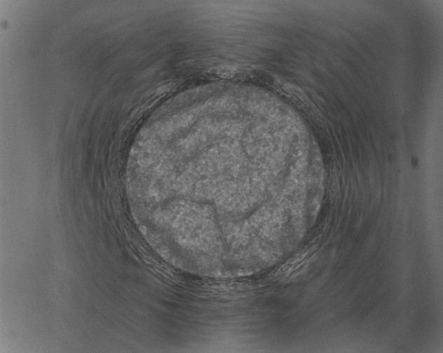 X0000067371105200604281743