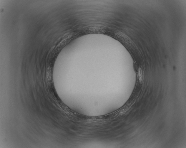 X0000067371107200604281743