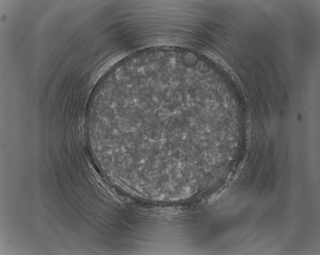 X0000067371121200604281743