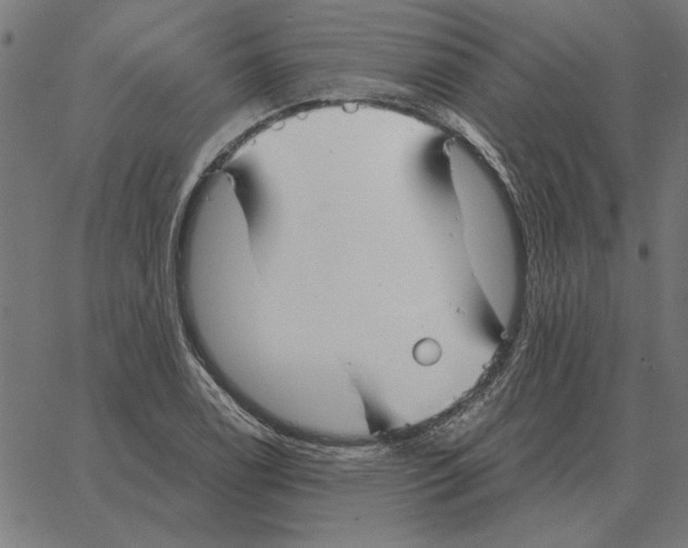 X0000067371122200604281743