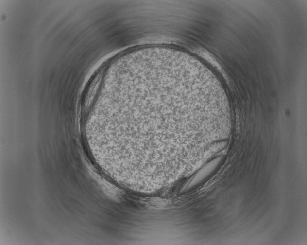 X0000067371124200604281743