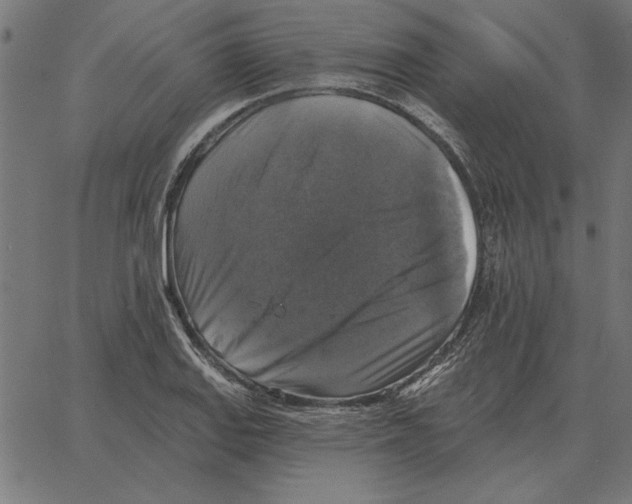 X0000067371127200604281743