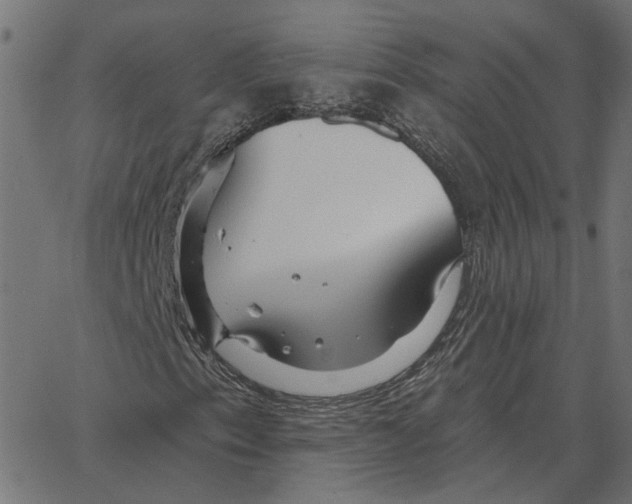 X0000067371153200604281743