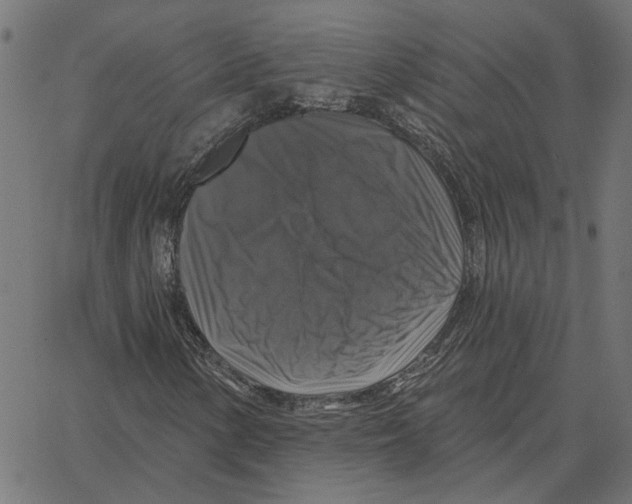 X0000067371154200604281743