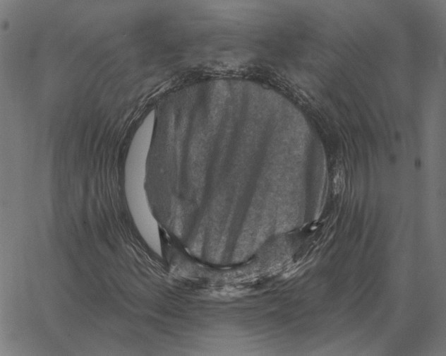 X0000067371156200604281743