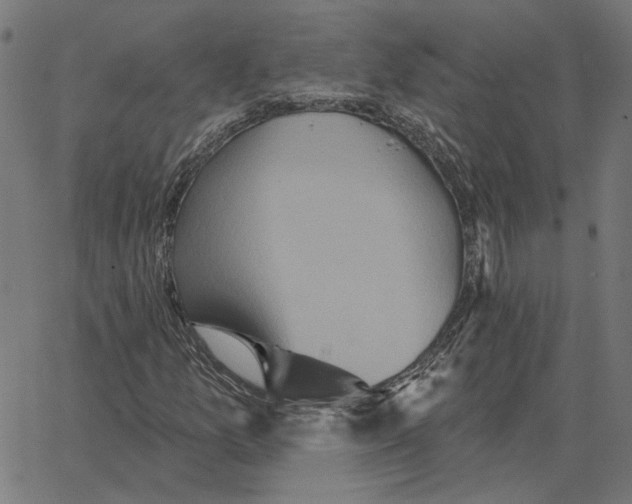 X0000067371157200604281743