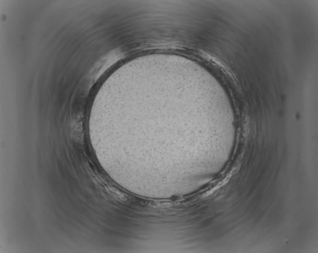 X0000067371162200604281743