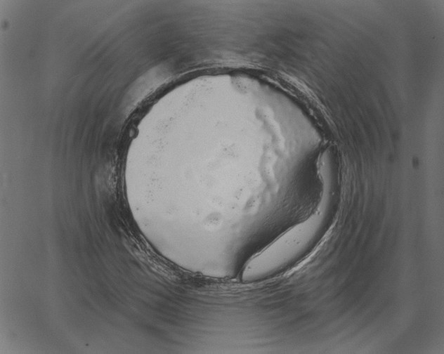 X0000067371163200604281743