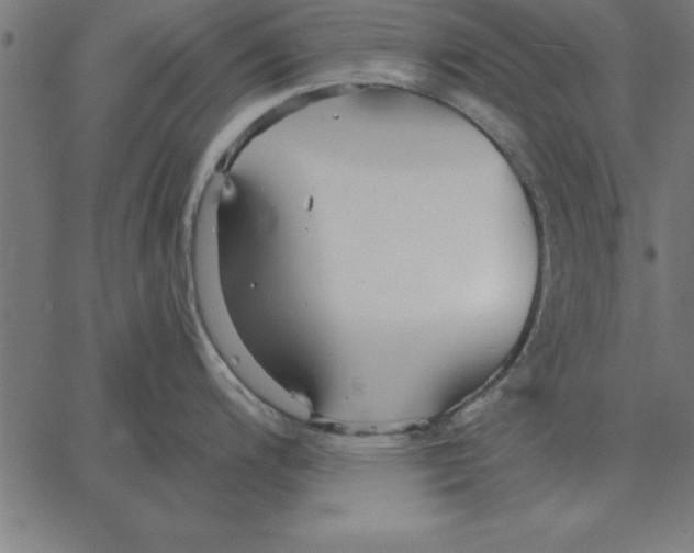 X0000067371200200604281742