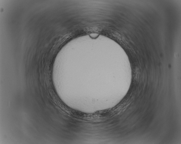X0000067371201200604281742