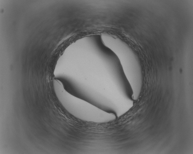 X0000067371206200604281742