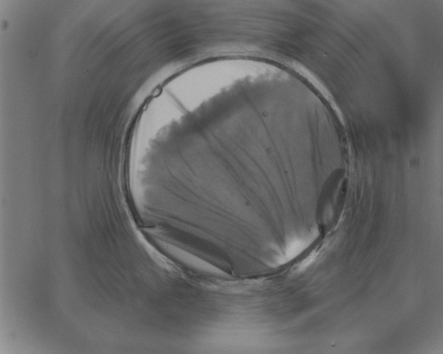 X0000067371245200604281742