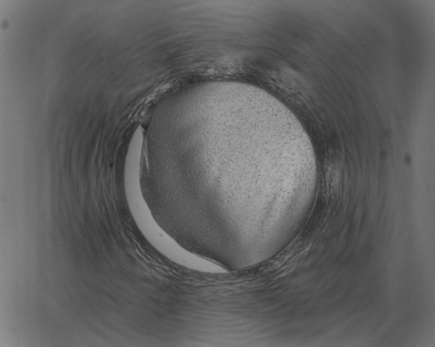 X0000067371250200604281742