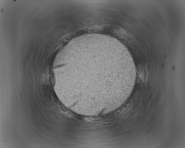 X0000067371252200604281742